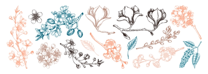 Spring blooming branches sketches. Hand-drawn botanical illustration. Trendy brown floral design. NOT AI genereted